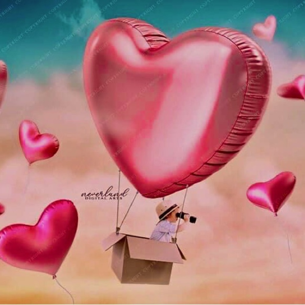 Meet your Posher, Denise anne